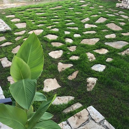 Green Silence - Vuk Podgorica Eksteriør billede