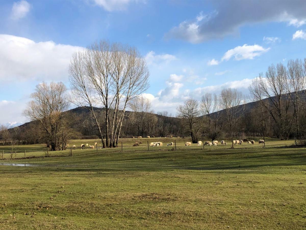 Green Silence - Vuk Podgorica Eksteriør billede