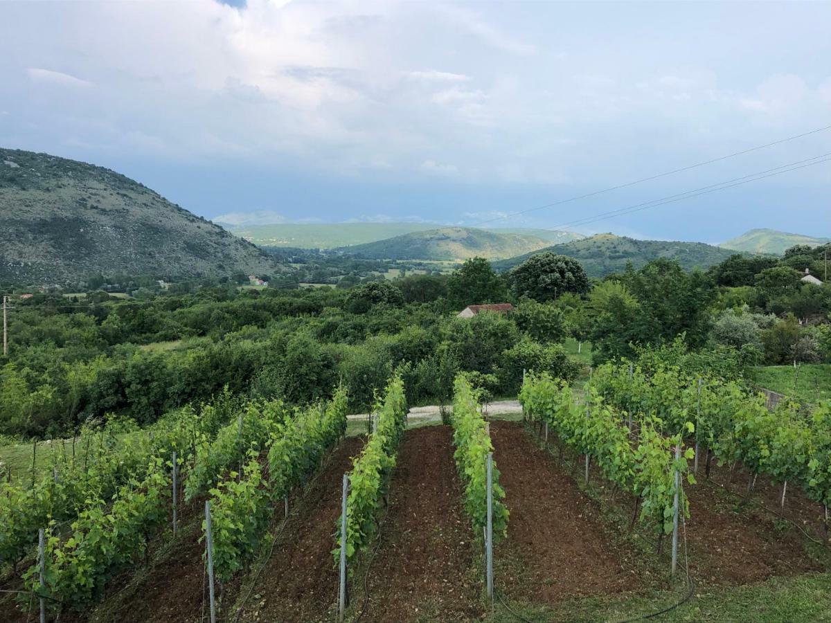 Green Silence - Vuk Podgorica Eksteriør billede