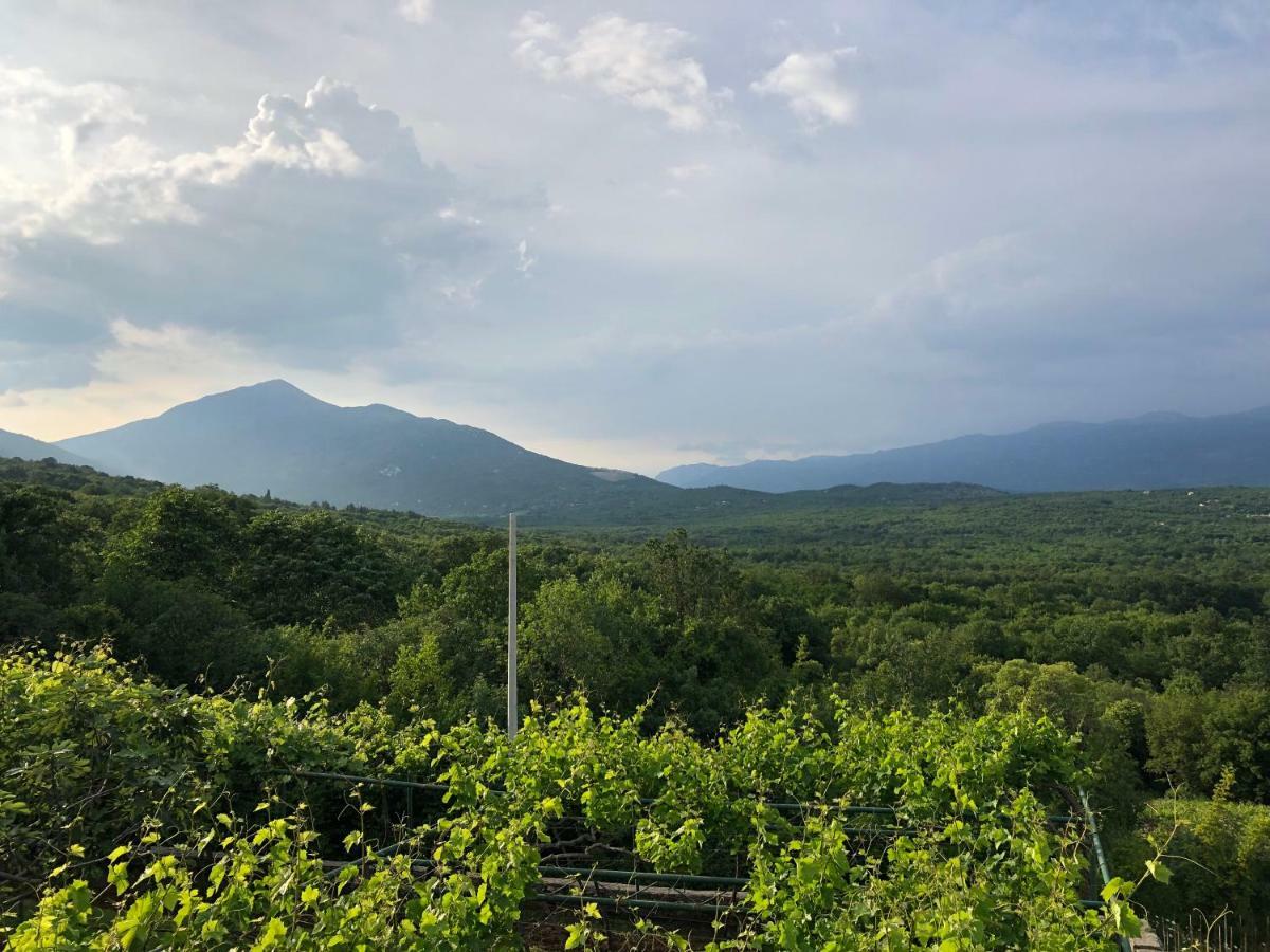 Green Silence - Vuk Podgorica Eksteriør billede